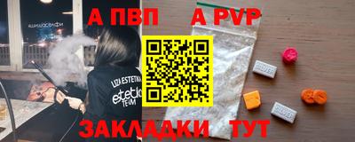 индика Сланцы