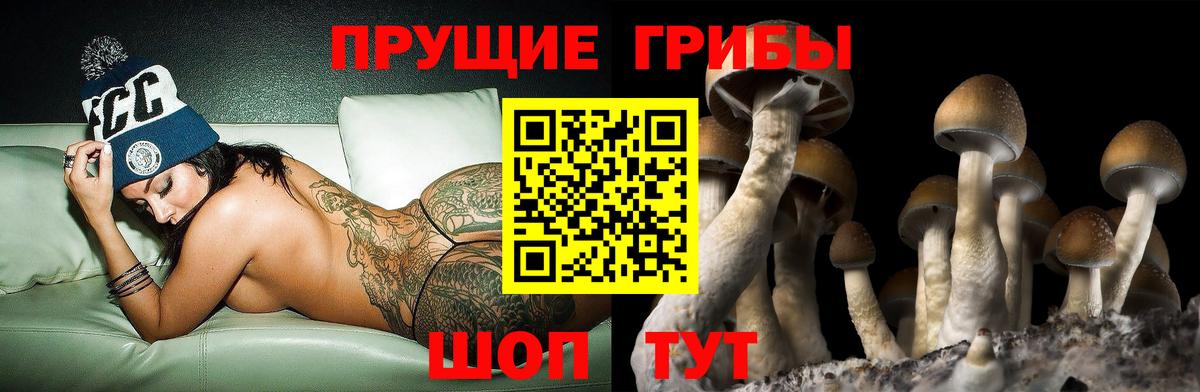 Красный Сулин  Псилоцибиновые грибы ЛСД  Вход с VPN  Галлюциногенные грибы прущие грибы 