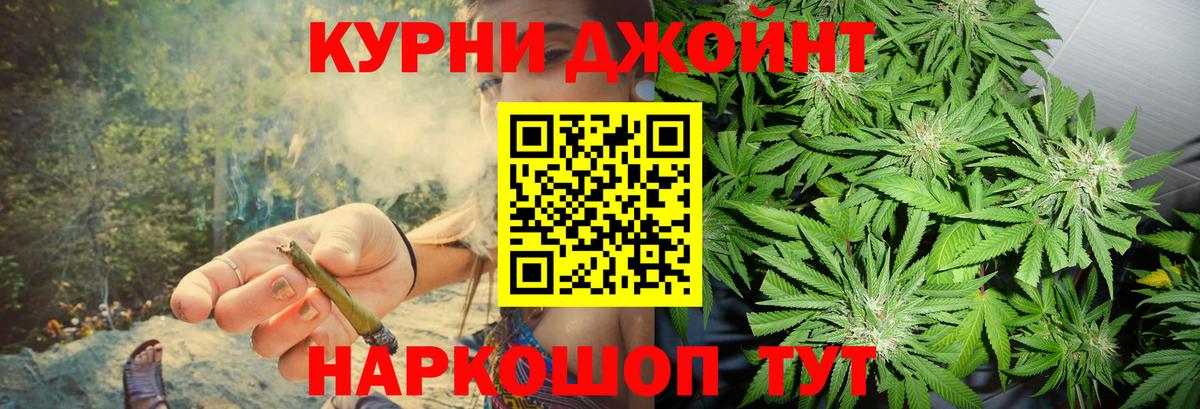 Бошки Шишки конопля Красный Сулин